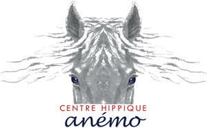 Centre Hippique Anémo Logo